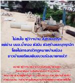 นายกเทศมนตรีเทศบาลบ้านดู่ใต้เบี้ยว ไม่ยอมดำเนินคดี (ช่างบ.น้ำทอง) มาทำลายป้าย ติดประกาศของเทศบาล ตำบลบ้านดู่ใต้ อ.เมือง จ.น่าน (ที่บุกรุกลำเหมือง) ไม่รับโทรศัพท์ นักข่าว และ (ช่างบ.น้ำทอง) ที่บุกรุกก็ สร้างถนนปิด (ทางลำเหมือง) ให้ไฟฟ้า มาติดเสาไฟ้ฟ้าโดยไม